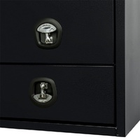 Truck Box Half Lid 2 External Drawers Pro-Series 1400mm x 600mm x 1200mm OZY-1461FP-2D-B Black